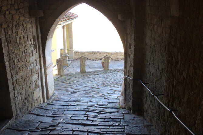 Istria Private Day Trip - Transport, Group Size, and Comfort