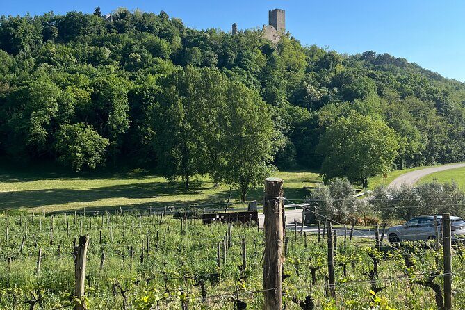 Istria Wine Tour from Island Krk and Rijeka - Why This Tour Could Be a Great Choice