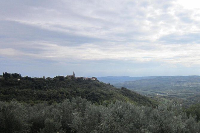 Istrian hill top cities tour with truffle and olive oil tasting - FAQ