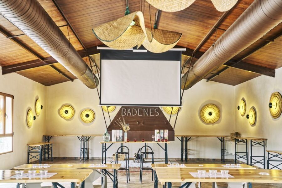 Jaen: Olive oil tour with the 5 senses, grove and tasing - Practical Details and Considerations