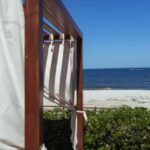 Jávea: 19/09 - Yoga & Brunch with Coffee/Tea, Juice & Cava - An In-Depth Look at the Yoga & Brunch Experience in Jávea
