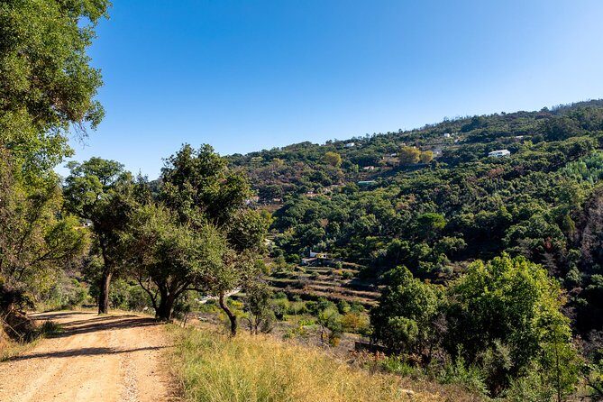 Jeep Safari #1 in Algarve - The Details of the Algarve Jeep Safari Experience
