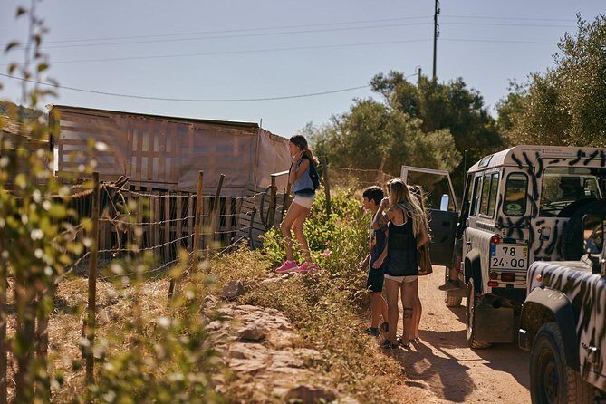 Jeep Safari Tour - Full Day - Authentic, Personal, and Fun — Who Will Love This?