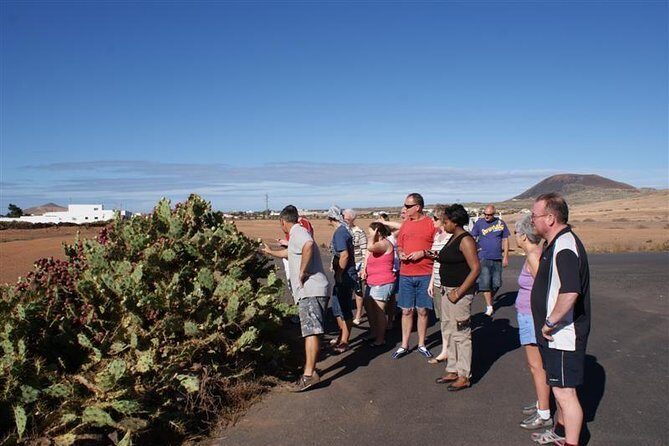 Jeep Tour to Cotillo and Northern Area of Fuerteventura - Who Should Consider This Tour?