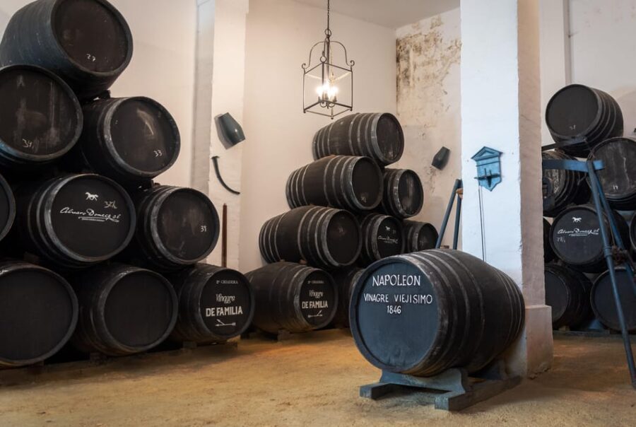 Jerez: Bodegas Álvaro Domecq Guided Tour with Wine Tasting - A Closer Look at the Itinerary