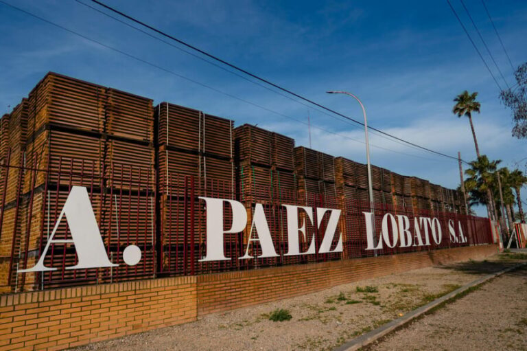 JEREZ DE LA FRONTERA: GUIDED TOUR TO THE COOPERAGE - Practical Tips for Visitors