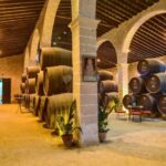 Jerez: Guided Winery Tour with Wine Tasting - A Deep Dive into the Experience