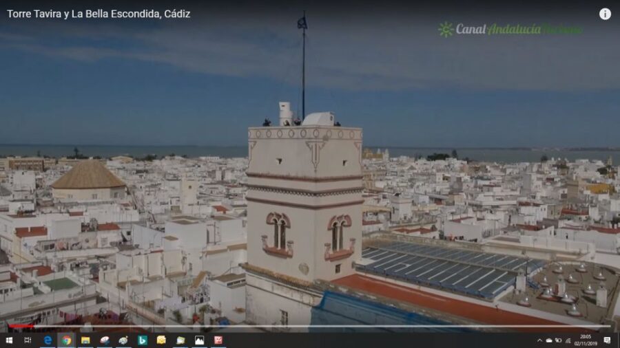 Jerez Private Tour From Seville: Wine and Equestrian Art - A Deep Dive into the Experience