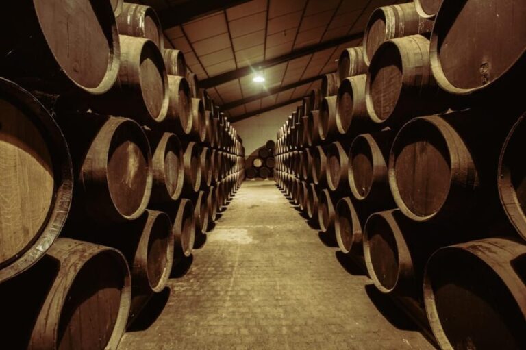 Jerez: Visit to Páez Morilla Winery SPANISH/ITALIANO - Key Points