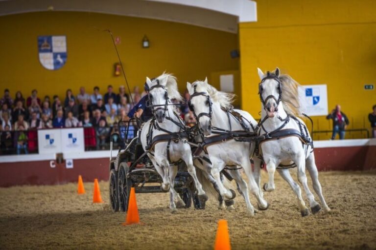 Jerez: Yeguada de la Cartuja Carthusian Horses Tour - Who Will Love This Tour?