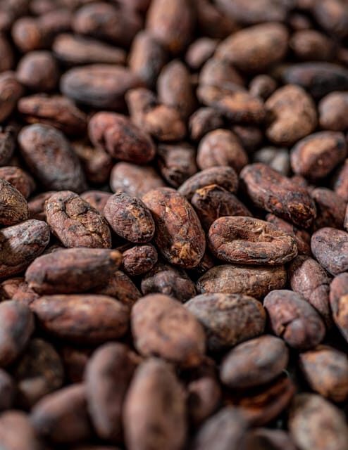 KAIACAO Bean to Bar and Design your own chocolate experience - Why Choose This Experience?