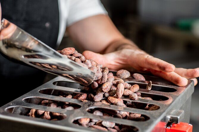 KAICAO bean to bar and design your chocolate experience - Exploring the KAICAO Chocolate Tour in Madrid