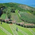 Kakheti: Sighnaghi city of love, Bodbe, Corporation Kindzmarauli - The Overall Experience
