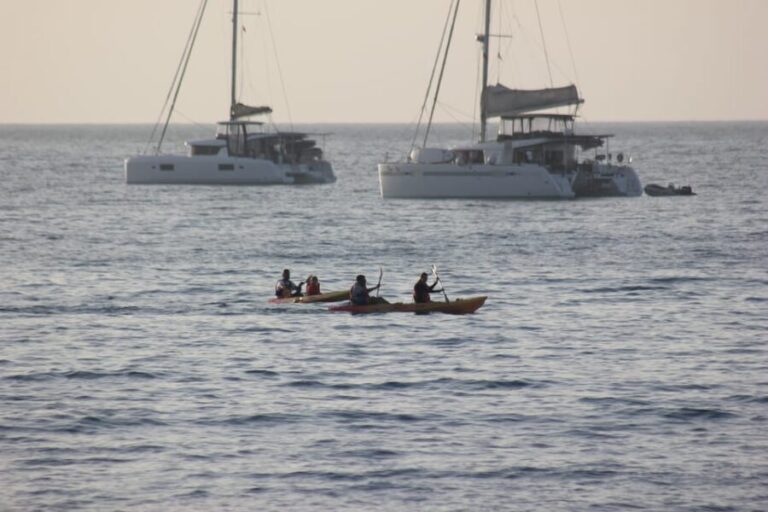 Kayak Experience in Playa Blanca - Who Is This Tour Best For?