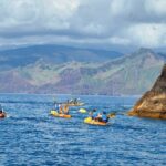 Kayak Experience @ Ponta de São Lourenço - Who Will Enjoy This?