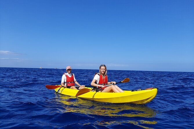 Kayak Safari with Dolphin and Turtle Watching in Guaza - A Deep Dive into the Kayak Safari Experience