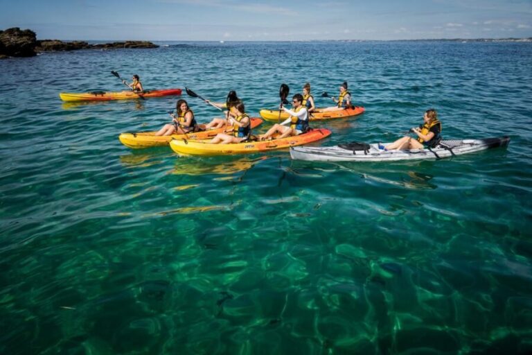 KAYAK & SNORKEL in Hondarribia - What Makes This Tour Stand Out?