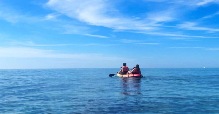 Kayak Tour Bay of Palma - An In-Depth Look at the Kayak Tour Bay of Palma