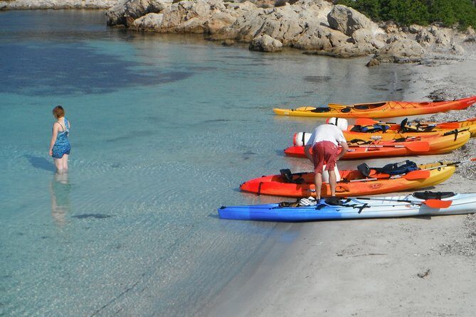 Kayak Tour in the Marine Reserve ! - Starting Point and Logistics