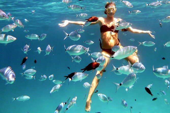 Kayak Tour with Snorkeling and Local Aperitif - A Closer Look at the Experience