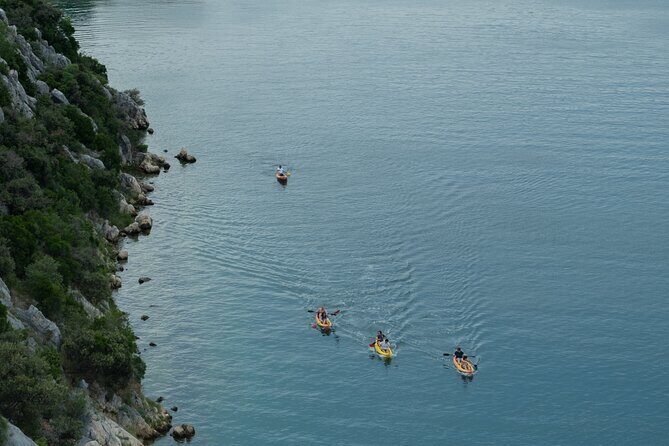 Kayaking and mussels tasting at Krka River estuary-private tours - Why Choose This Tour? The Highlights