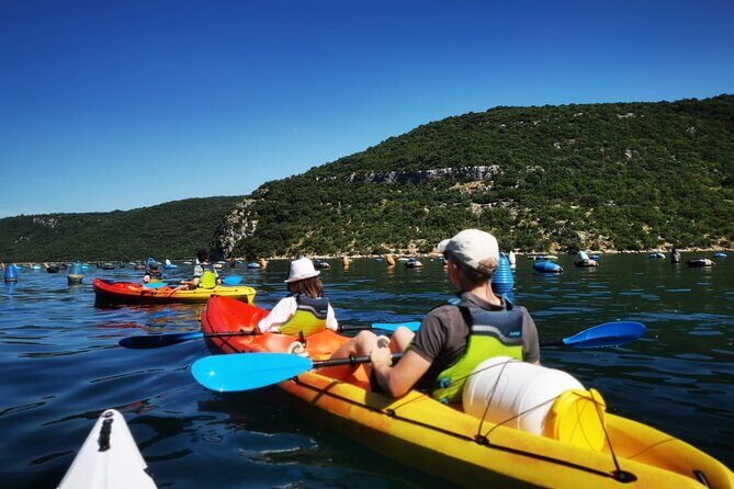 Kayaking Experience in Lim Bay Sea in The Croatian Fjord - Who Is This Tour Best For?