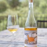 Kefalonia: Private Wine Tasting with Vineyard Tour - Who Will Love This Tour?