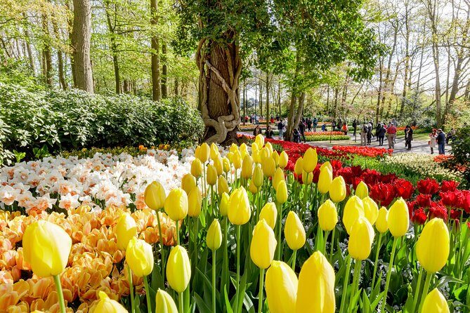 Keukenhof, Flower Fields, Volendam and Zaanse Schans Small-Group Tour - Transportation, Timing, and Group Size
