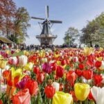 Keukenhof & FlowerFarm Tour From Amsterdam Skip-The-Line tickets - Who Will Love This Tour?