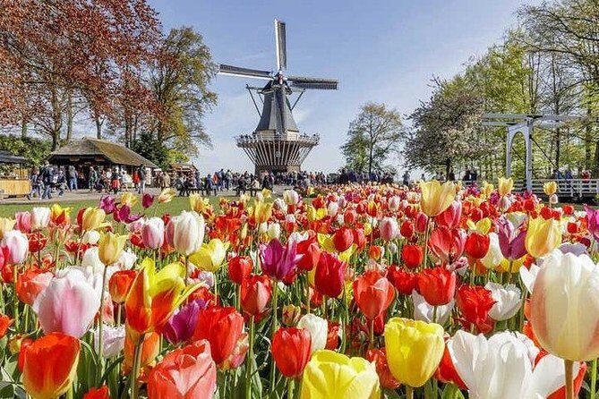 Keukenhof & FlowerFarm Tour From Amsterdam Skip-The-Line tickets - Who Will Love This Tour?