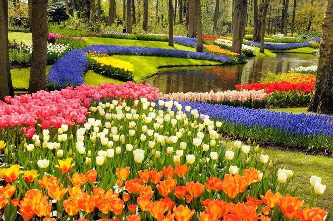 Keukenhof Gardens & Tulip Experience Tour from Amsterdam - How This Tour Balances Value and Experience