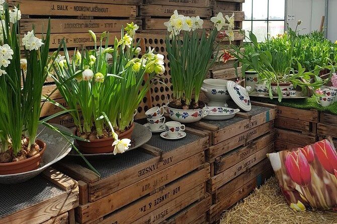 Keukenhof Skip-the-line Tickets: Countryside & Farm Private Tour - Practical Details and Value