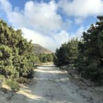 KGS02.Off the Beaten Track Tour in Kefalos & Cavo Paradiso - What You Get for Your Money
