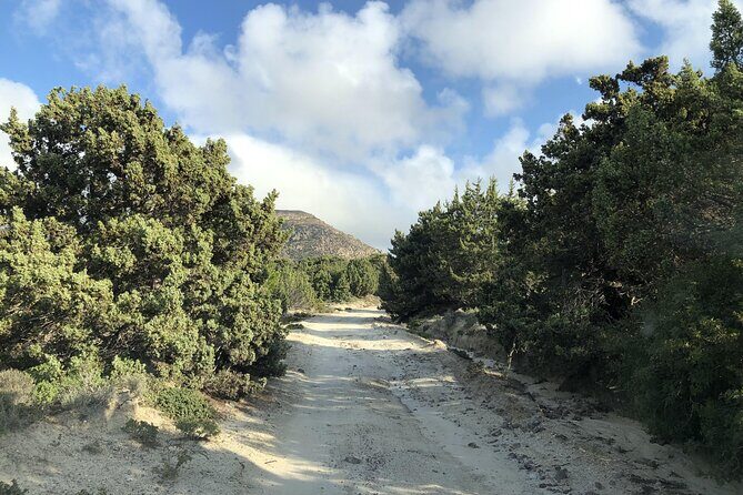 KGS02.Off the Beaten Track Tour in Kefalos & Cavo Paradiso - What You Get for Your Money