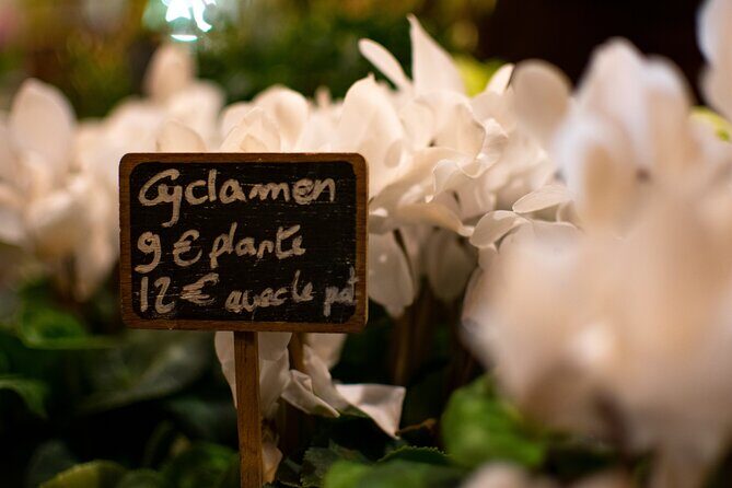 Kids and Families Marais Private Tour in Paris including Jewish Quarter - Final Thoughts