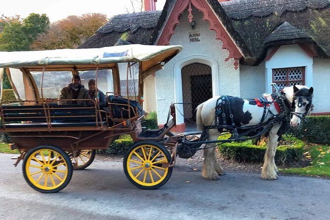Killarney National Park Tour - Who It’s Best For