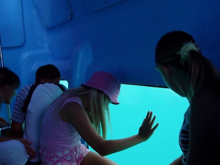 Korcula: Semi-Submarine Tour - What to Expect on the Korcula Semi-Submarine Tour