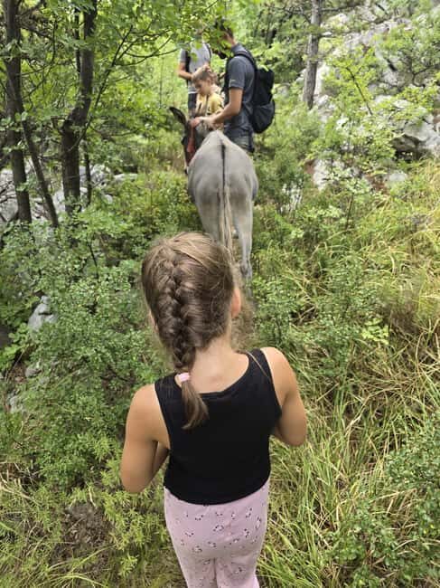 Kvarner/mrika Guided Donkey Walk, Cave & Scenic Picnic Spot - Family Fun and Interaction