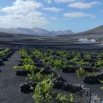 La Geria: a walk among volcanoes and vineyards - A Detailed Look at La Geria: A Walk Among Volcanoes and Vineyards