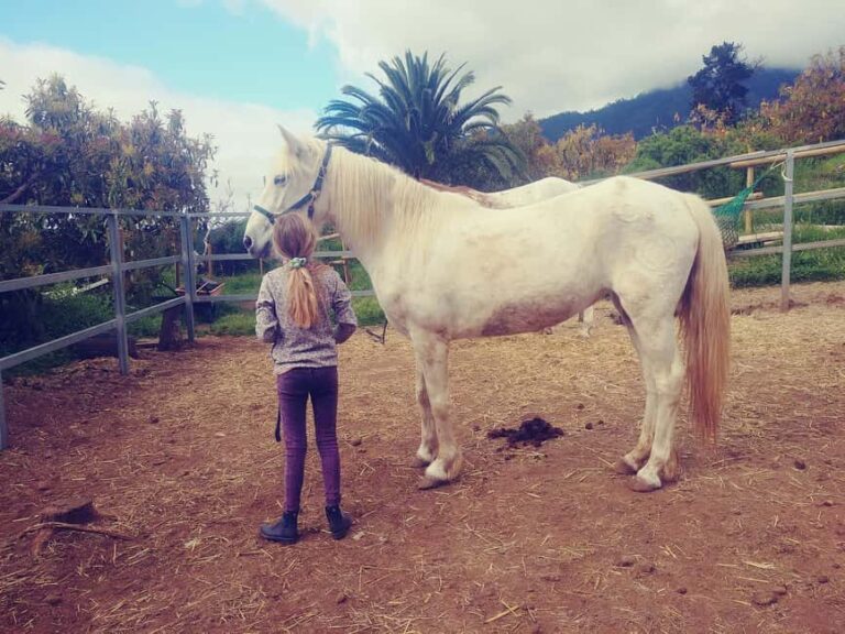 La Orotava: Workshop "Natural Horsemanship" and Permaculture - Who Should Sign Up?