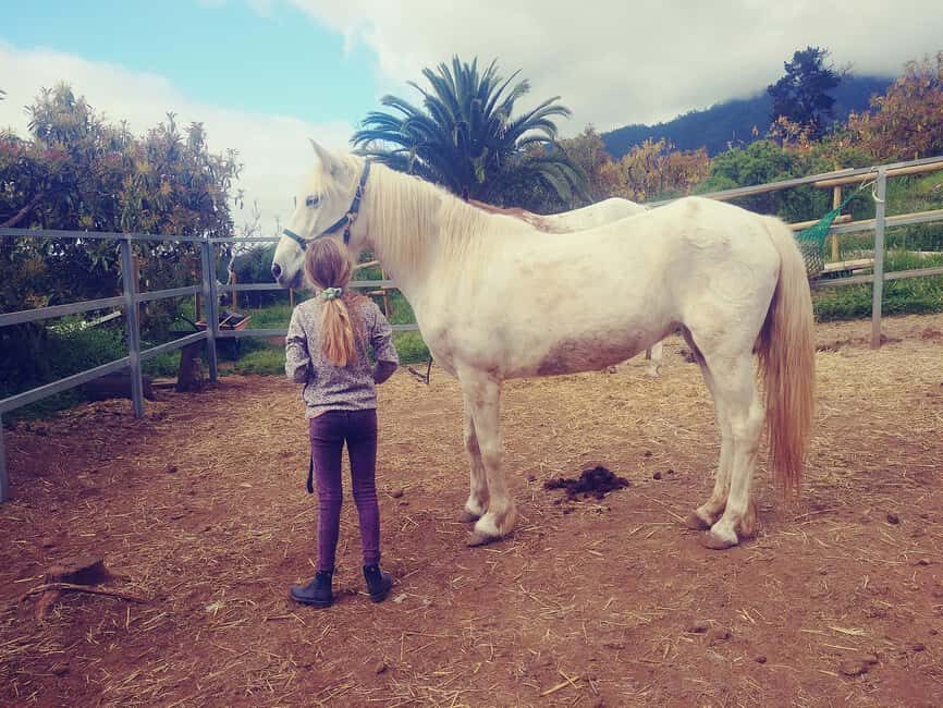La Orotava: Workshop "Natural Horsemanship" and Permaculture - Who Should Sign Up?
