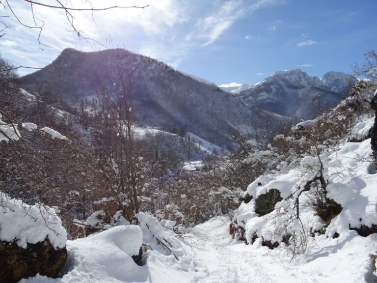 La Raya: Fuentes de Invierno Snowshoe Walk - Final Thoughts: Why Choose La Raya’s Snowshoe Walk?