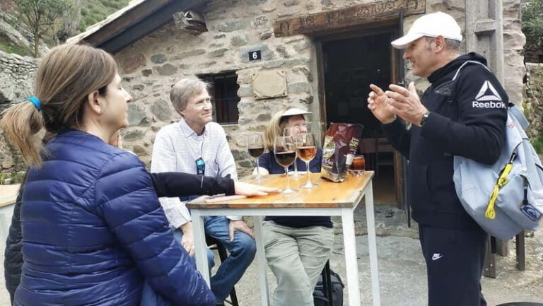 La Rioja: Guided Bike Tour - Exploring La Rioja on Two Wheels: A Practical Guide
