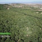 La Rioja: Jamon Iberico Farm Tour and Tasting with Wine - Practical Tips for Visitors