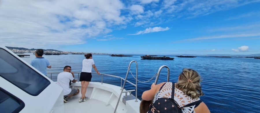 La Toja: Boat Tour at the Arousa estuary with mussel tasting - A Detailed Look at the Tour