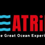 Lagos: Dolphin & Benagil Tour with Marine Biologist - The Itinerary in Detail