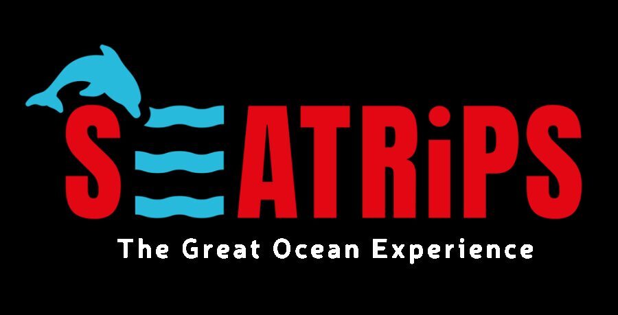 Lagos: Dolphin & Benagil Tour with Marine Biologist - The Itinerary in Detail