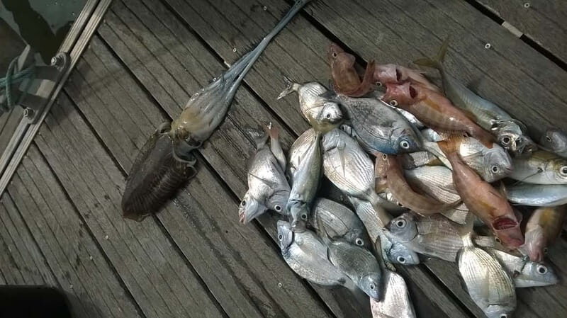 Lagos: Family Fishing Trip - FAQ