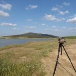 Laid-back birdwatching week - A Detailed Look at the Experience