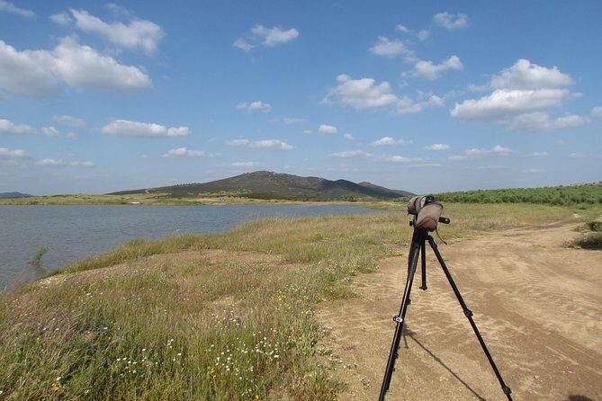 Laid-back birdwatching week - A Detailed Look at the Experience
